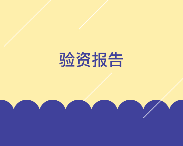 验资报告
