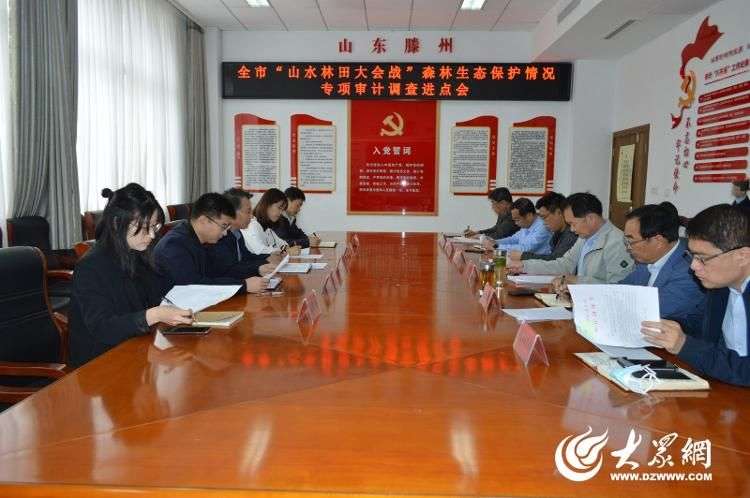 专项审计